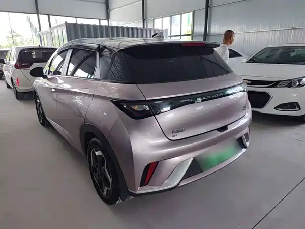 BYD Dolphin 2022