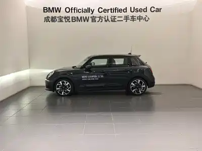 MINI MINI 2024