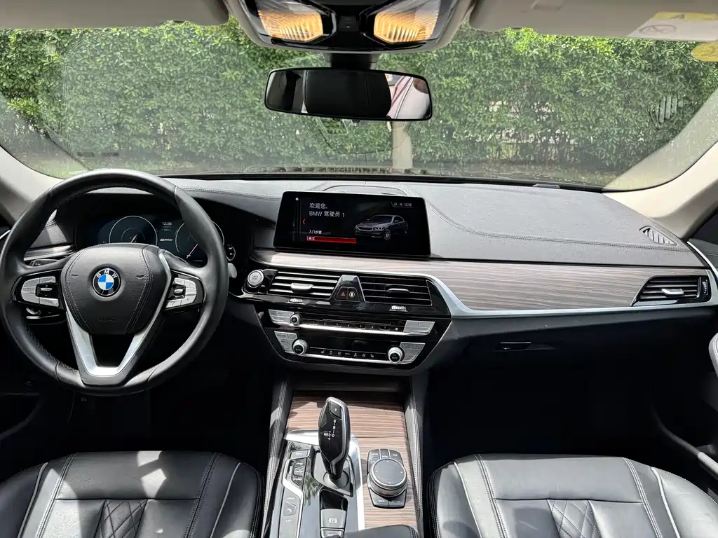 BMW 5 Series New Energy 2019 — фото 14