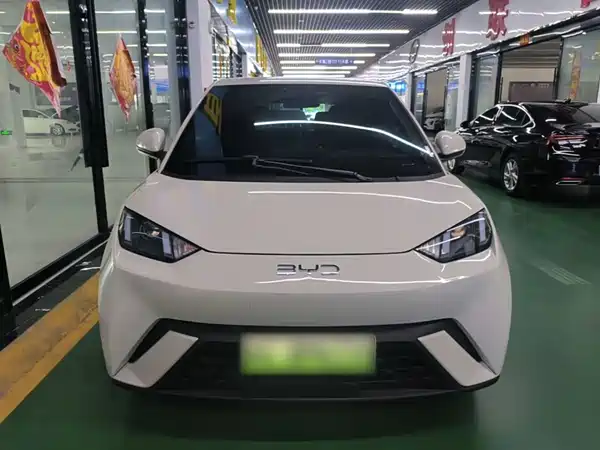 BYD Seagull 2024