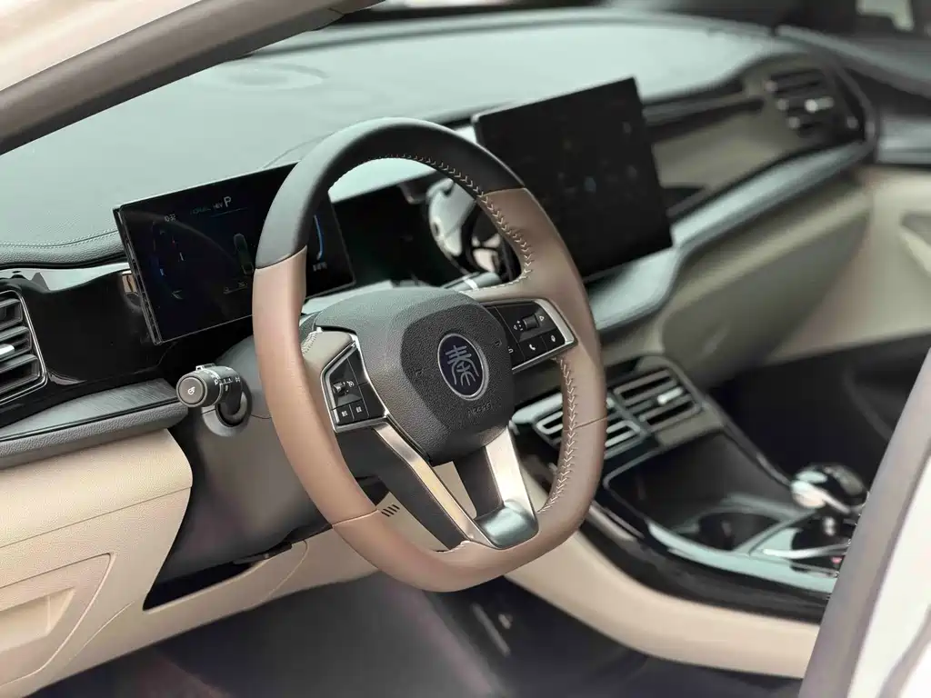 BYD Qin PLUS 2025 — фото 10
