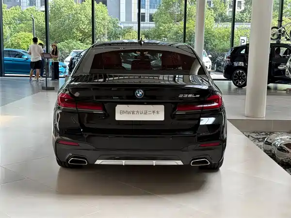 BMW 5 Series New Energy 2022