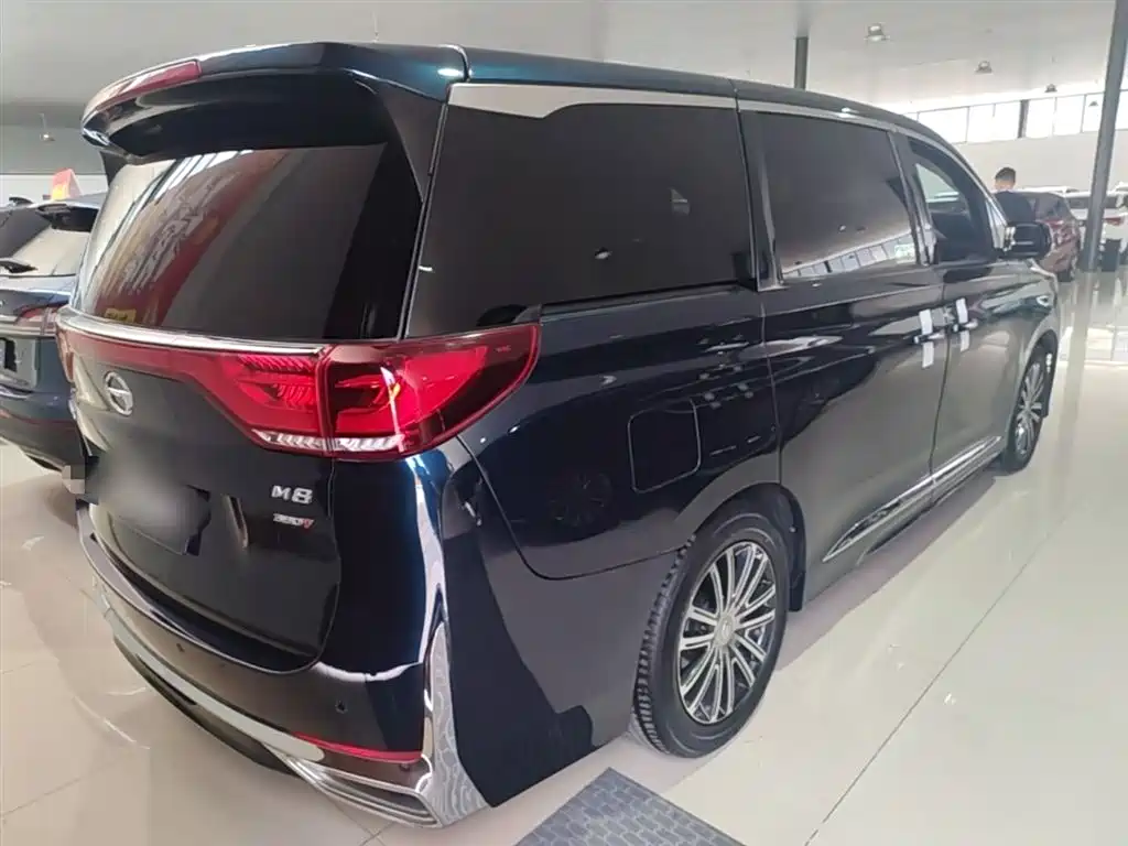GAC Motor Trumpchi M8 2021 — фото 7