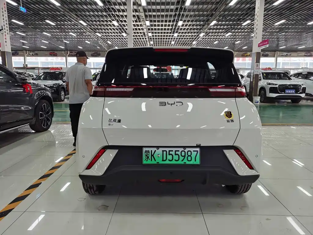 BYD Seagull 2026