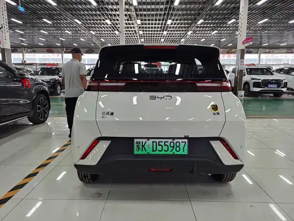 BYD Seagull 2026