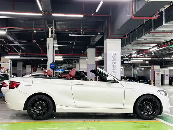 BMW 2 Series 2017