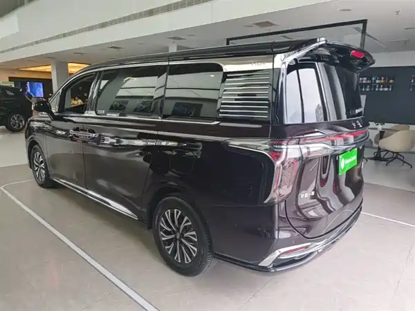 Hongqi HQ9 PHEV 2024