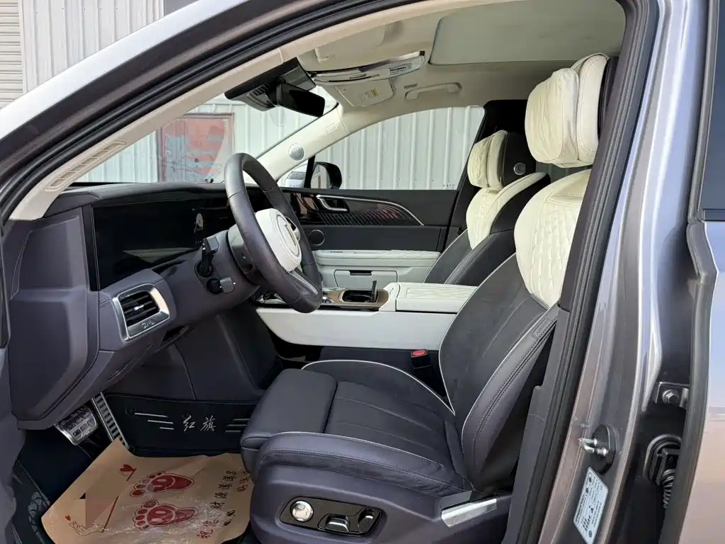 Hongqi E-HS9 2021