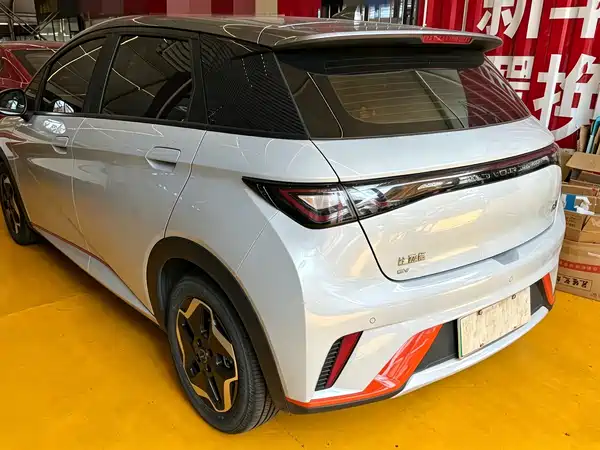 BYD Dolphin 2022