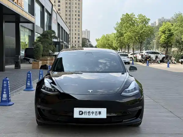Tesla Model 3 2019