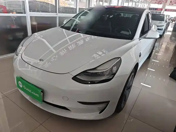 Tesla Model 3 2019