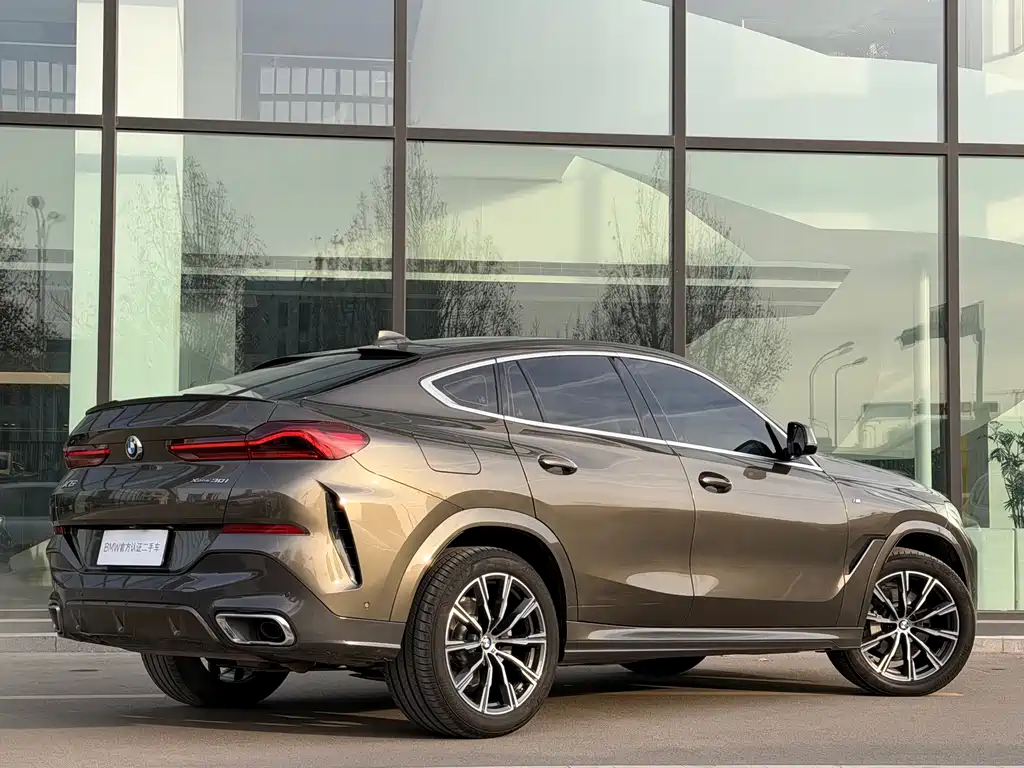 BMW X6 2020 — фото 19