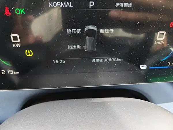 BYD Seagull 2024