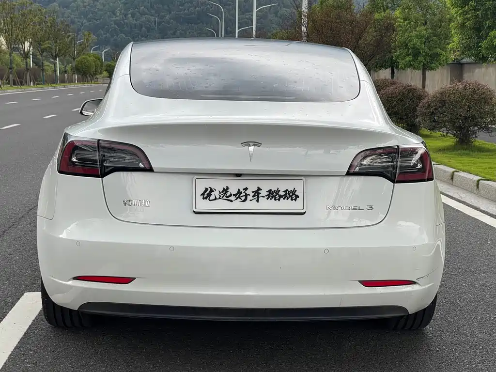 Tesla Model 3 2020 — фото 12