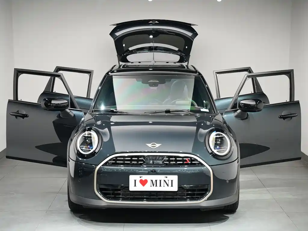 MINI MINI 2025