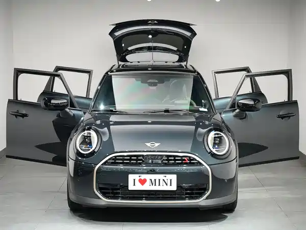 MINI MINI 2025