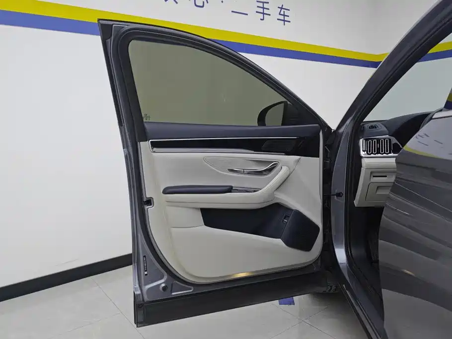 BYD Song PLUS New Energy 2024 — фото 7