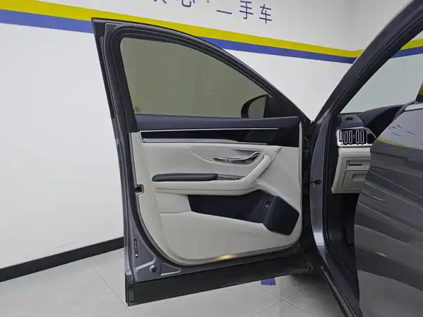 BYD Song PLUS New Energy 2024
