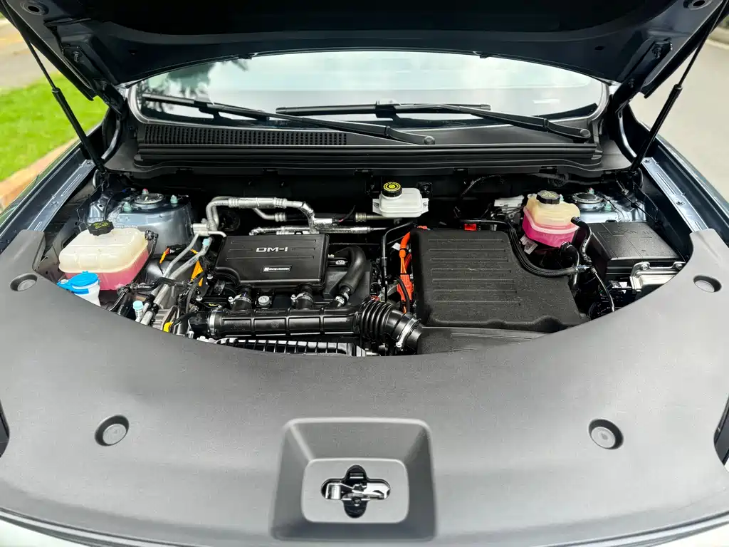 BYD Pro New Energy 2025 — фото 17