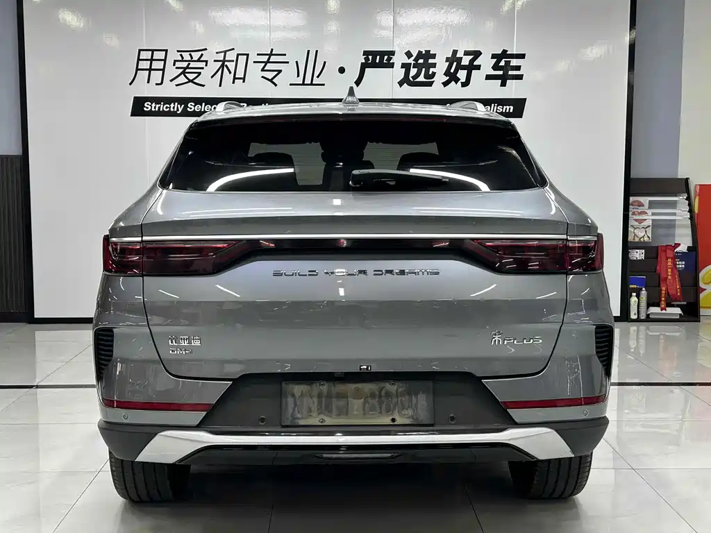 BYD PLUS New Energy 2022 — фото 4