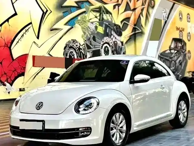 Volkswagen Beetle 2014 — фото 1
