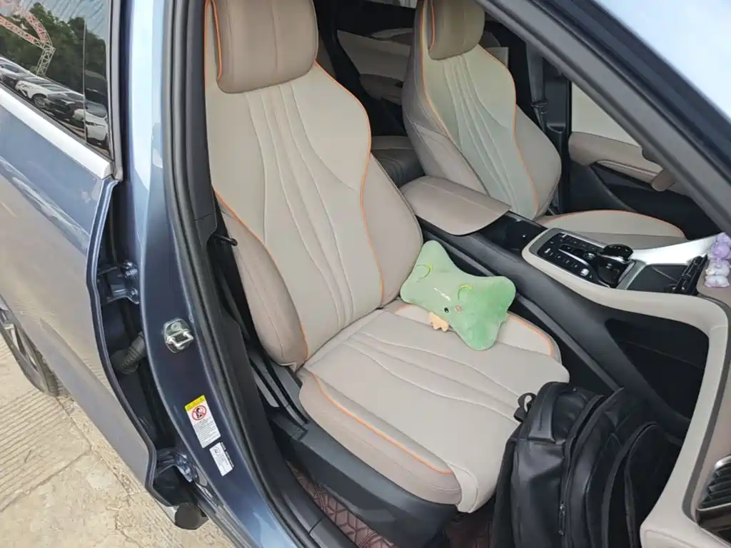 BYD Song Pro New Energy 2023 — фото 20