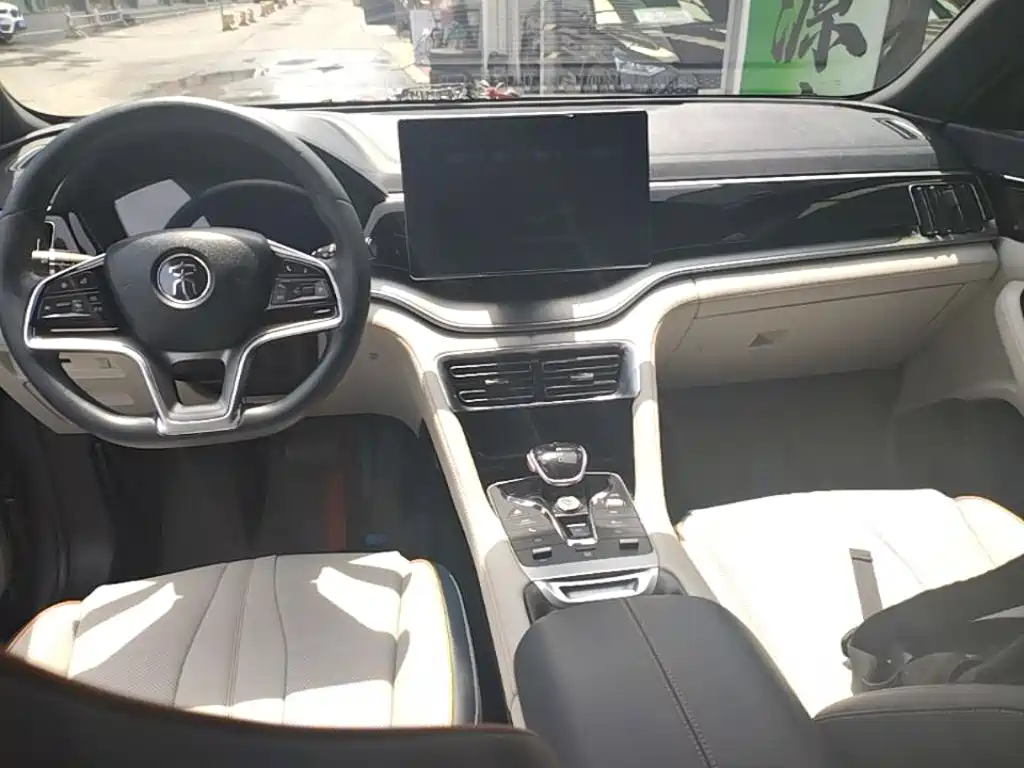 BYD PLUS New Energy 2022 — фото 10