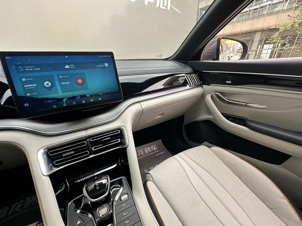 BYD Song PLUS New Energy 2022 — фото 13