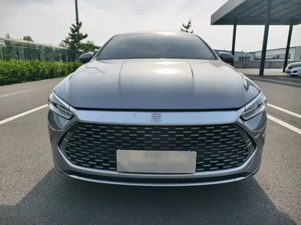 BYD Qin PLUS 2024 — фото 2