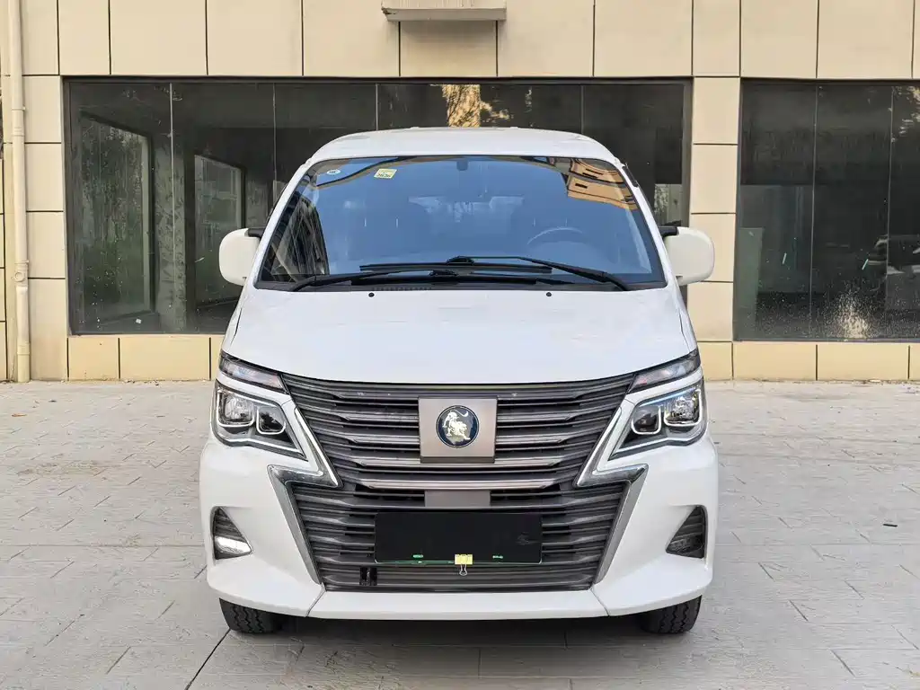 Dongfeng Lingzhi New Energy 2022 — фото 2