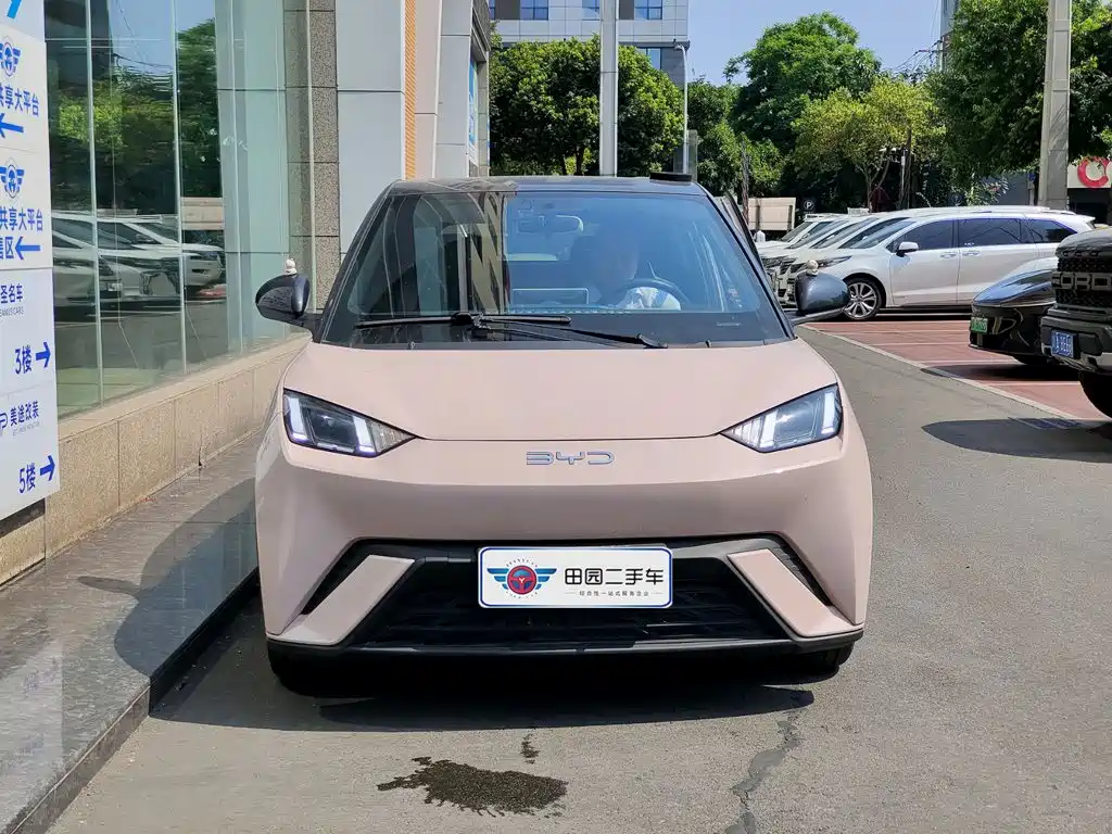 BYD Seagull 2025