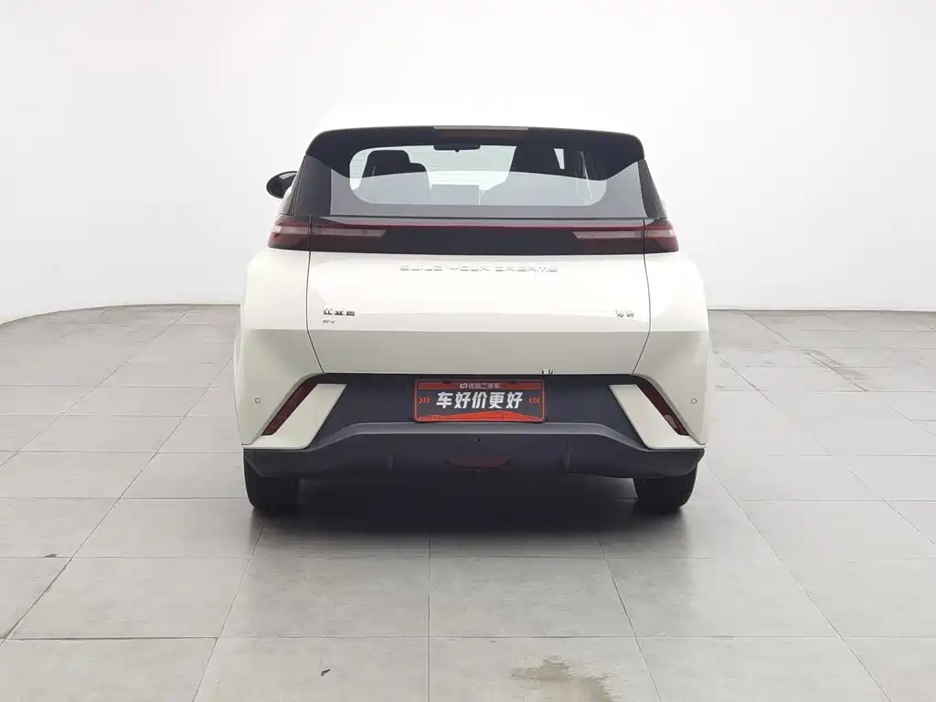 BYD Seagull 2024