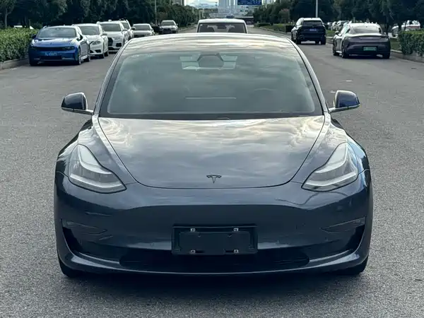Tesla Model 3 2020