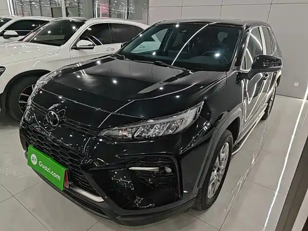 Toyota Wildlander 2020