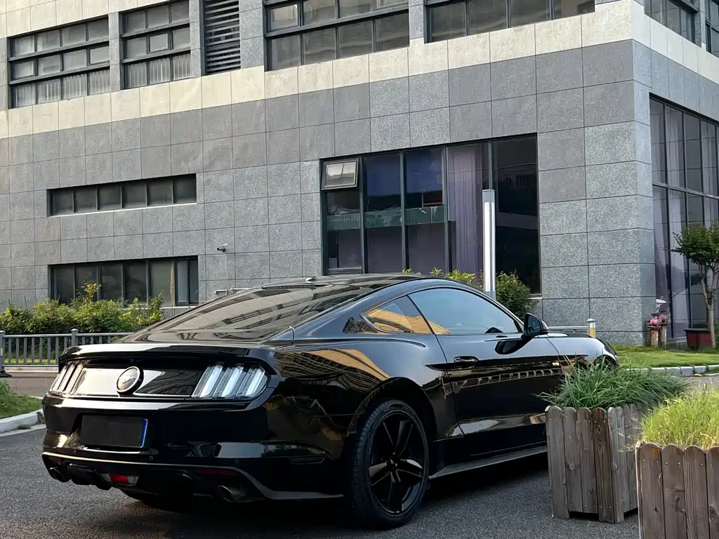 Ford Mustang 2018 — фото 15