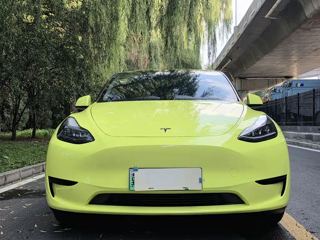 Tesla Model Y 2023 — фото 2