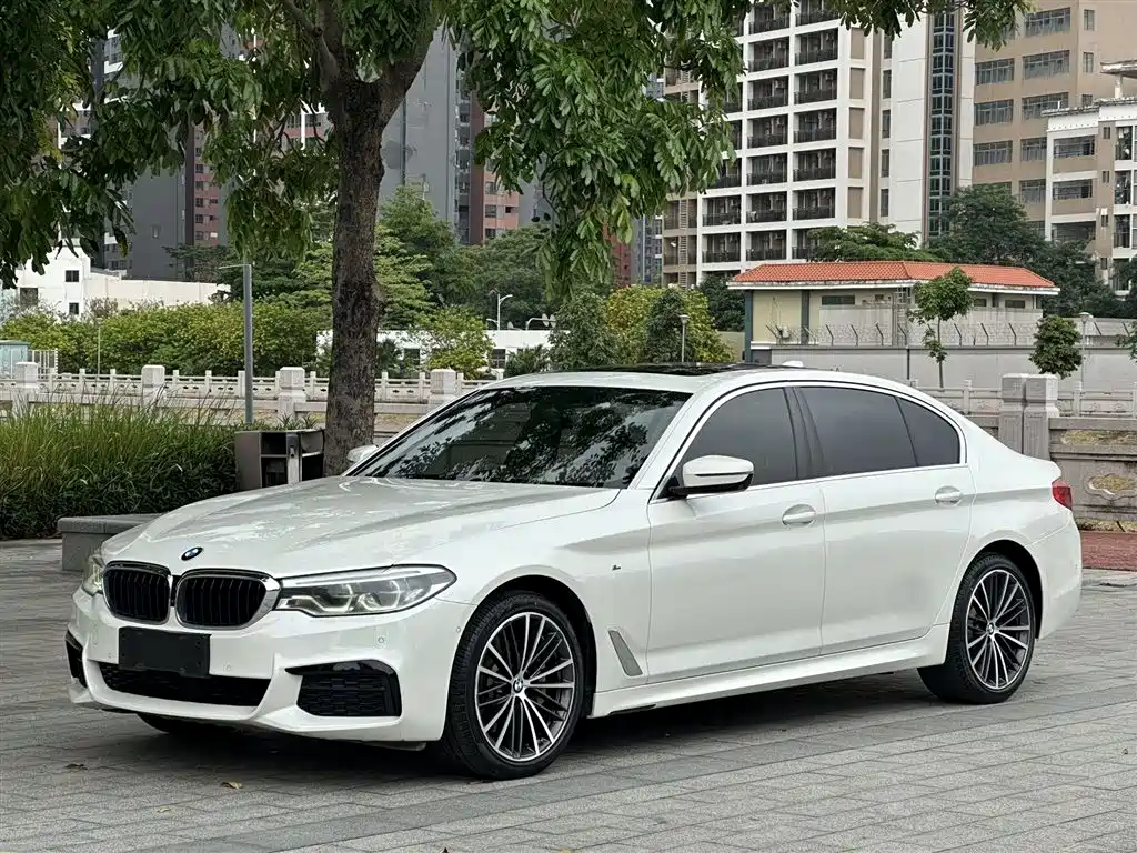 BMW 5 Series 2020