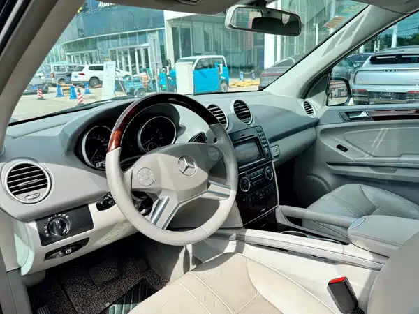 Mercedes-Benz M-Class 2010