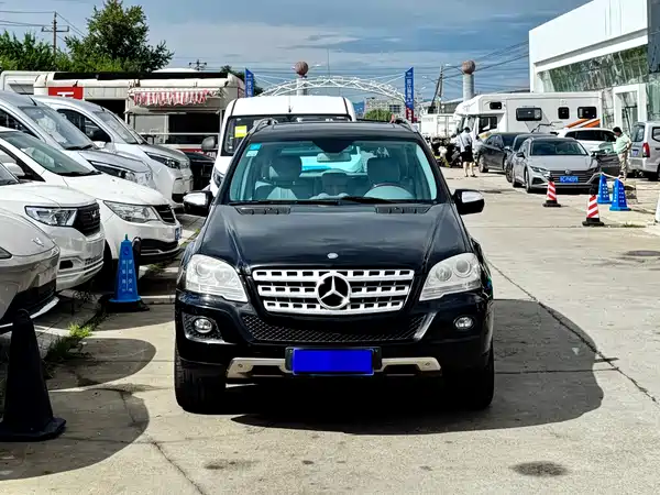 Mercedes-Benz M-Class 2010
