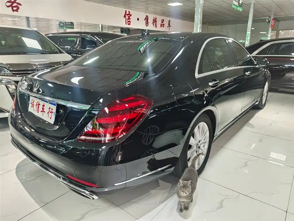 Mercedes-Benz S-Class 2020 — фото 3