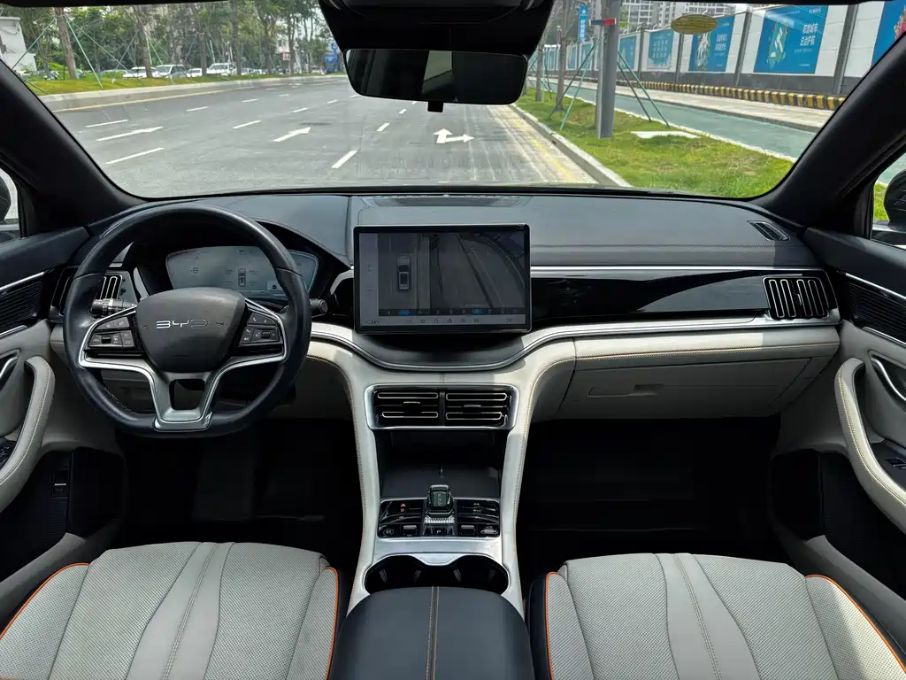 BYD Song PLUS New Energy 2024 — фото 13