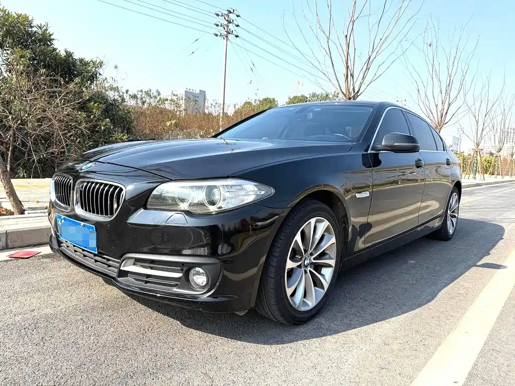 BMW 5 Series 2015 — фото 1