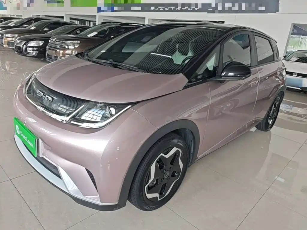 BYD Dolphin 2022