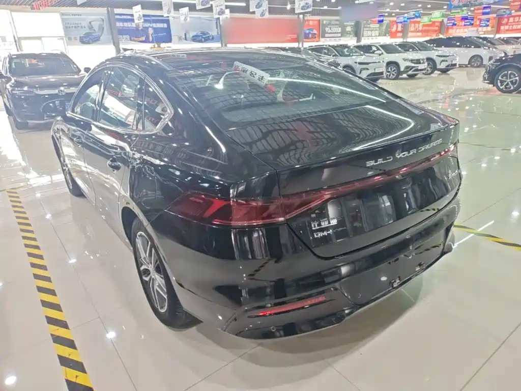 BYD Qin PLUS 2021