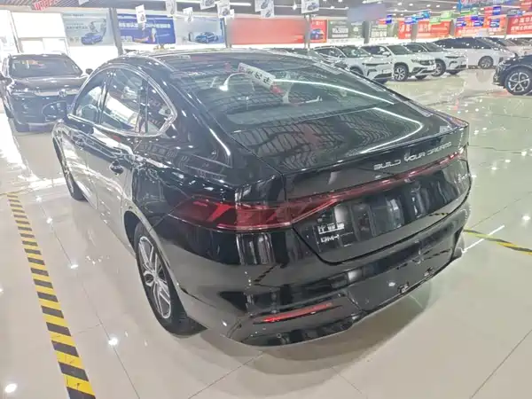 BYD Qin PLUS 2021