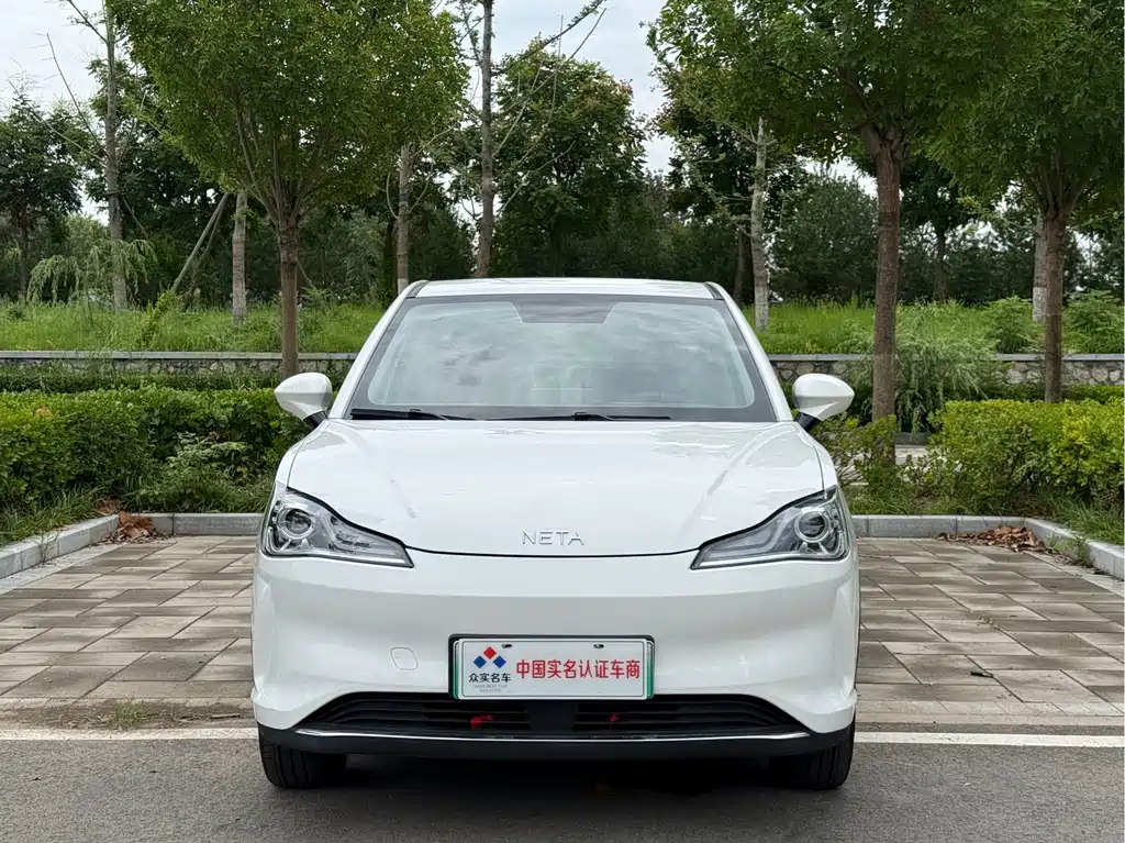 Neta V 2022