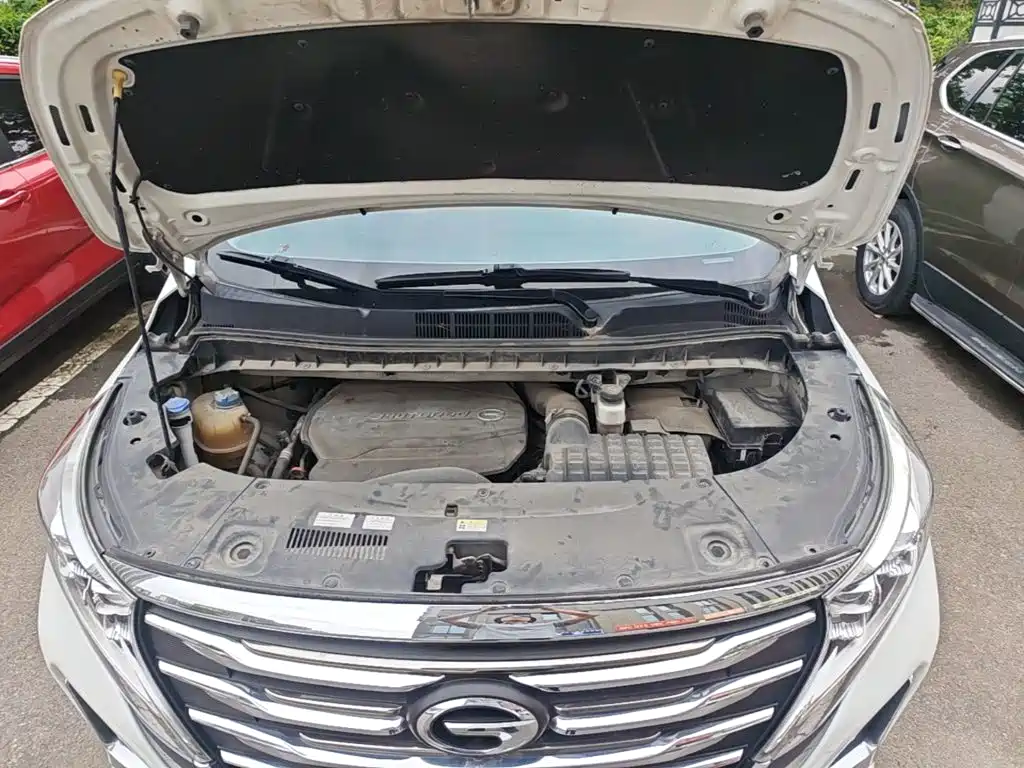 GAC Motor Trumpchi M8 2020 — фото 20