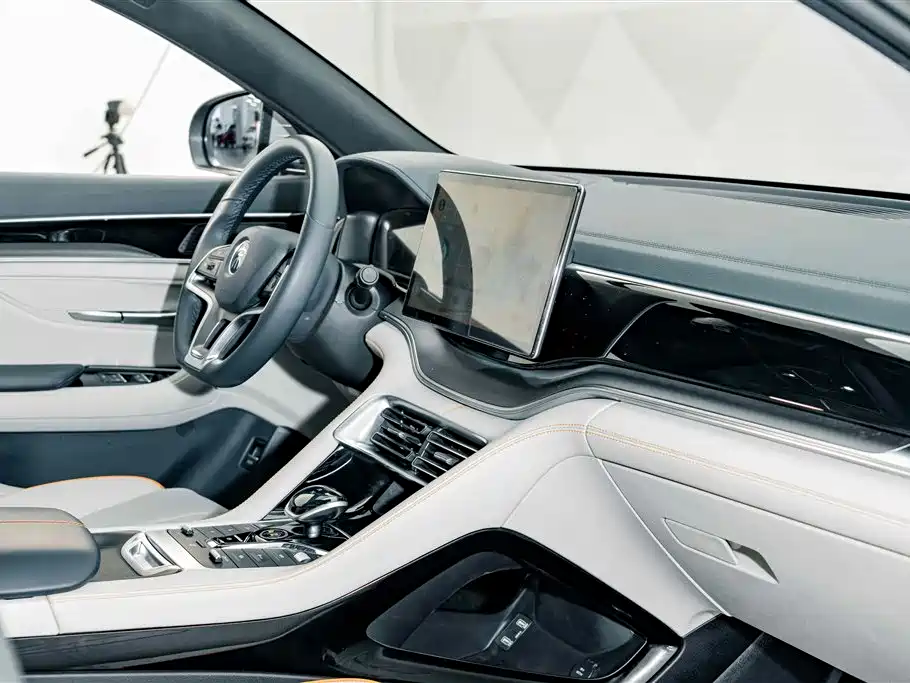 BYD Song PLUS New Energy 2022 — фото 18