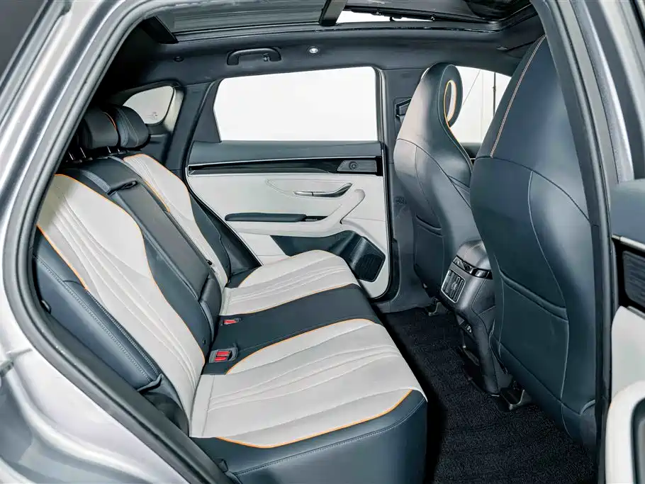 BYD Song PLUS New Energy 2022 — фото 21