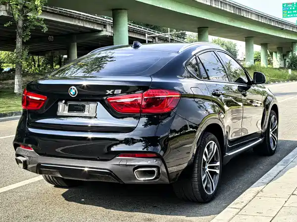 BMW X6 2018